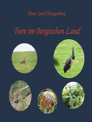 cover image of Tiere im Bergischen Land